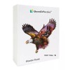 Quordle Puzzles Striking American Eagl Wooden Jigsaw Fabulous Gift Puzzle