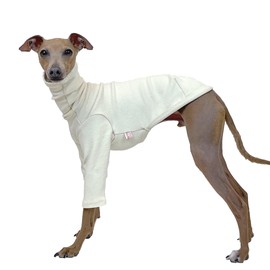 D Doggy Star Italian Greyhound Clothes Flexible T Shirts Whippet for Dogs (XL,Solid Light Beige)