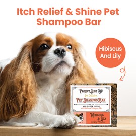 Project Sudz Spa Collection Bar Shampoo Hibiscus & Lily