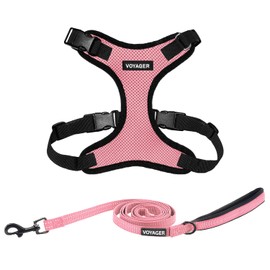 Voyager Step-in Lock Dog Harness w Reflective Dog Leash Combo Set with Neoprene Handle 5ft - Supports Small, Medium and Large Breed Puppies/Cats by Best Pet Supplies - Pink/Black Trim, L