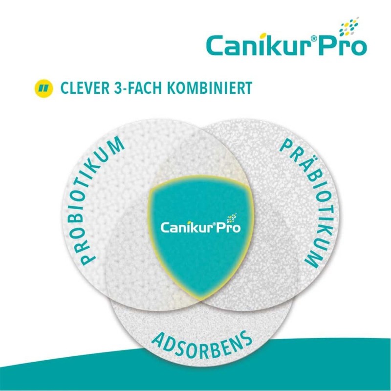 Canikur Pro Ergänzungsfuttermittel Paste für Hunde/Katzen, 1er Pack (1 x