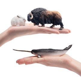 Toymany 12 Piece Animal Figure, Arctic Animal Figure Set, Realistic Polar Animal, Model, Popular Animal, Toy, Birthday Gift, Ornament, Christmas, New Year Collection, Ages 6 and Up