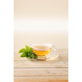 LEBENSBAUM Almkräuter Teebeutel, Bio-Tee mit würzigen Bergkräutern, Kräutertee, 100% natürlicher Geschmack, 20 Teebeutel à 1,5 g