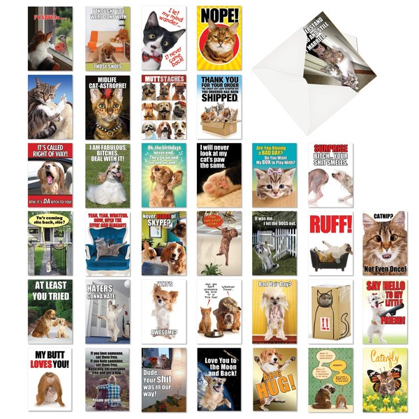 Best Pets Collection - 36 Funny Assorted Blank Note Cards with Envelopes (4.63 x 6.75 Inch) - Adult Greeting Card Set for Dog, Cat, Animal Lovers AC6654OCB-B1x36