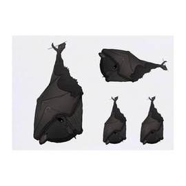 4 x 'Hanging Bat' Temporary Tattoos - Water Resistant, Skin-Safe, Non-Toxic Transfers, Mixed Sizes (TO00080660)