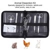 Animal Dissection Kit Biology Laboratory Anatomy Set Device for Poultry