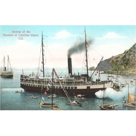 Found Image Press - Steamer at Santa Catalina - Vintage Image