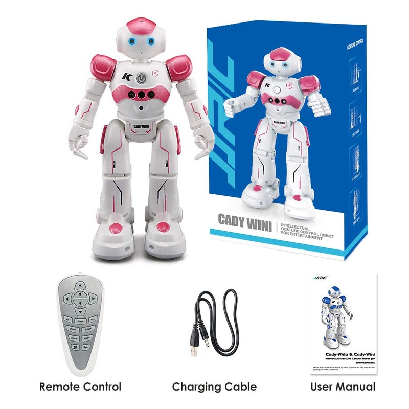 Pup Go Kids Remote Control Smart Ai Robot Toy, Singing