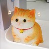 3D Taba Squishy Cat,Cat Sqeeze Toys,Cat Taba Squishy,Stress Relief,Large Cat