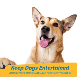 123 Treats Beef Tendon Chews for Dogs – 7-9 inches Beef Strap Chew Sticks, High in Protein, 100% Natural, Grain & Gluten-Free Dog Treats, Great for Dental Health (8 Oz Bag)