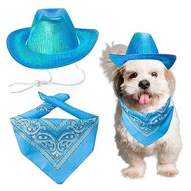 AWOCAN Dog Cowboy Hat Dog Cat Cowboy Hat Costume Bandana West Cowboy Accessories for Pet Metallic Space Shiny Cowboy Hats for Dog Cat (Blue)