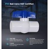Midline Valve PVC Ball Valve Blue T-Handle for Potable Water