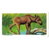 RED ROSE TEA CARD, SERIES: ANIMALS AND THEIR YOUNG, MOOSE