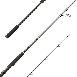 SPRO Big Lure Spin Rod - Big Bait Spinning Rod, Fishing Rod for Pike and Catfish Fishing (2.40 m, 60-180 g)