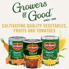 Del Monte Italian Recipe Stewed Tomatoes with the Flavors of