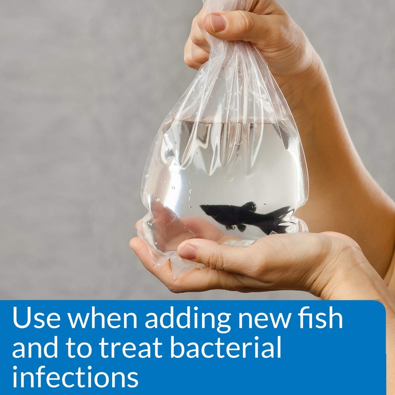 API MELAFIX Freshwater Fish Bacterial Infection Remedy 4-Ounce Bottle