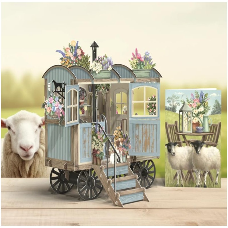 Paper D'Art 3D043 Betty Blue 3D Pop Up Card