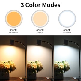 Dott Arts Desk Lamp,USB Clip On Light with 3 Color Modes,LED 10 Levels Brightness Reading Lamp, 360°Gooseneck Book Light,Eye-Care Reading Light for Home Office,Headboards White…