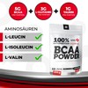 BLADE Series 100% BCAA Powder + Glutamine 500g - Amino