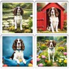 Springer Spaniel Dog Coaster Set. 4 different Springer Spaniel Dog
