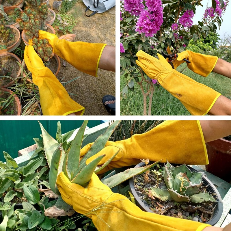 ITC Gauntlet Gardening Gloves Thorn Proof, Heavy Duty Leather Gardening