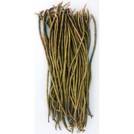 Yard Long Bean - Dark Green - 4 Oz ~720 Seeds - Non-GMO, Heirloom - Asian Garden Vegetable