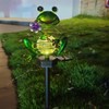 Solar Outdoor Lawn Lamp Frog Spring Garden Decoration Light Waterproof