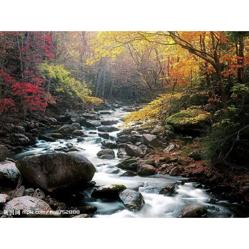 Shimanto Hinoki Cheeks Pillow, Mustard