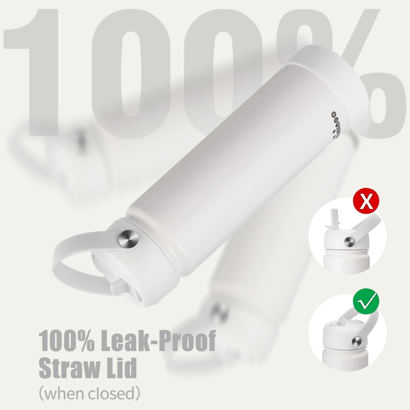 Insulated Stainless Steel Water Bottle with Straw, Ceramic-Lined, BPA-Free &