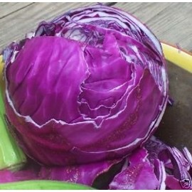 Cabbage Red Acre Great Heirloom Vegetable by Seed Kingdom 700 Seeds