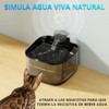 4L/135oz Bebedero para Gato con Luz LED, Fuente de Agua