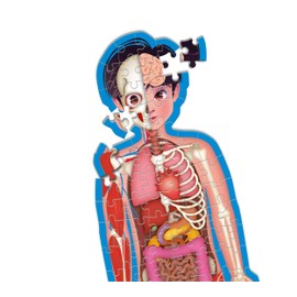 Clementoni Sapientino Subway More Educational Game 6 Years Body Children, Contoured Puzzle and Flashcards to Know Human Anatomy, School Learning, Made in Italy, 16471, Multicoloured