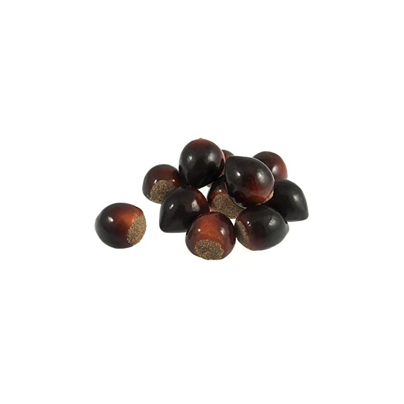 Trimits Horse Chestnuts, Natural, 18 x 30 x 20mm