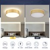 Peblto Dimmable Gold LED Ceiling Light, 2700K-6000K 5CCT in One