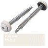SKIR'CO (40 Pieces) Roofing Screws 4.8 x 60 mm Painted
