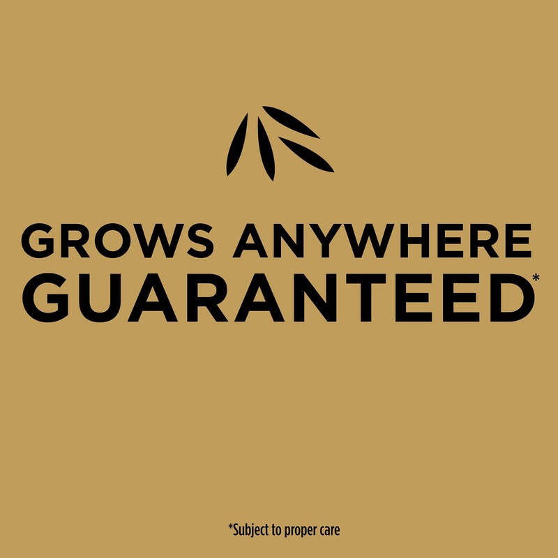 Scotts EZ Seed Patch & Repair for Sun and Shade