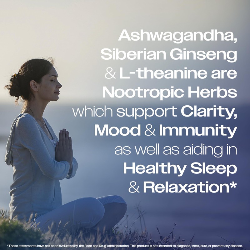 Chase Your Sky - SOAR