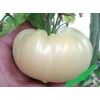 Seeds4planting - Seeds Snow Great White Beefsteak Tomato Giant Heirloom