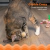 Catstages Purrsecco & Cupcakes Plush Interactive Catnip Cat Toys -