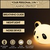 Presence The Meditating Panda, Guided Visual Meditation Tool for Practicing