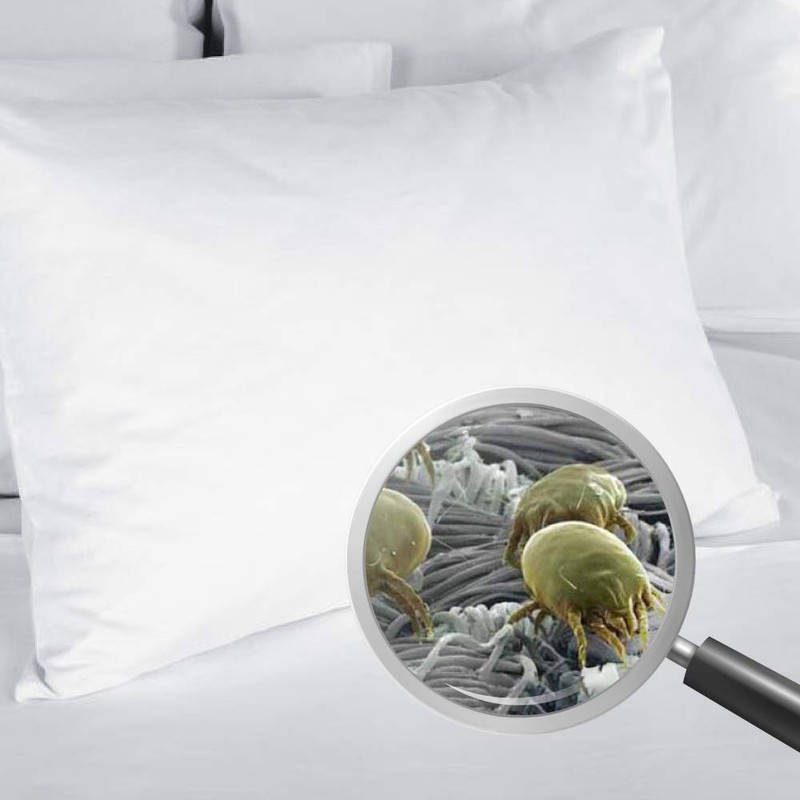 Allergosystem Set of 2 Cushion Covers Mite Protection 50 x