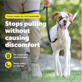 PetSafe Gentle Leader Headcollar No-Pull Dog Collar - Helps Improve Walks - Durable Nylon Construction - Padded Nose Loop - Adjustable Fit - Comfort Walking Halter - Medium, Black