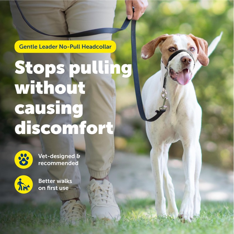 PetSafe Gentle Leader Headcollar No-Pull Dog Collar - Helps Improve