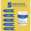 Sheló Nabel Creatina Monohidratada En Polvo 460g