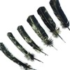 Zucker Loose Turkey Feathers - (25 Pack) Right Curving Natural