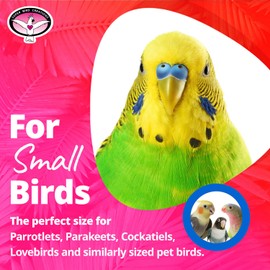 Super Bird Creations SB586 X-mas Star Bird Toy, Small Bird Size, 4.5" x 3"