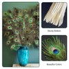 FFDHWU 25 Pieces Of Peacock Feathers, Home Decoration, Diy Handicraft