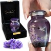 Beautiful 2.9" Hummingbird Keepsake Urn with Premium Gift Box, Velvet