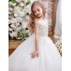 Fancy Sequin Beaded Girls Pageant Ball Gown Lace V Back