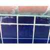 Calcium Releaser & Scum Line Remover- Guardian Pool & Tile